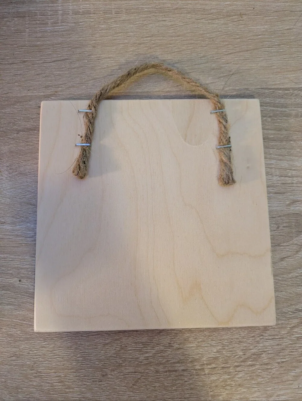 Funny Sarcastic Wood Hanging Sign Bat Shit Crazy Let It Be Epic 6x6